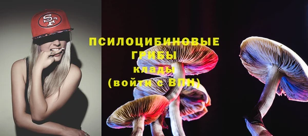 дживик Балахна