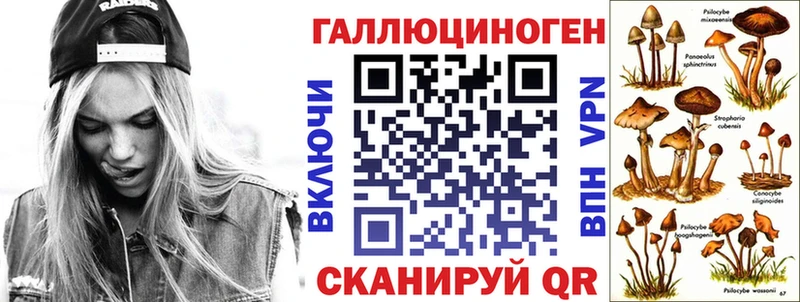Псилоцибиновые грибы GOLDEN TEACHER  наркотики  Пятигорск 