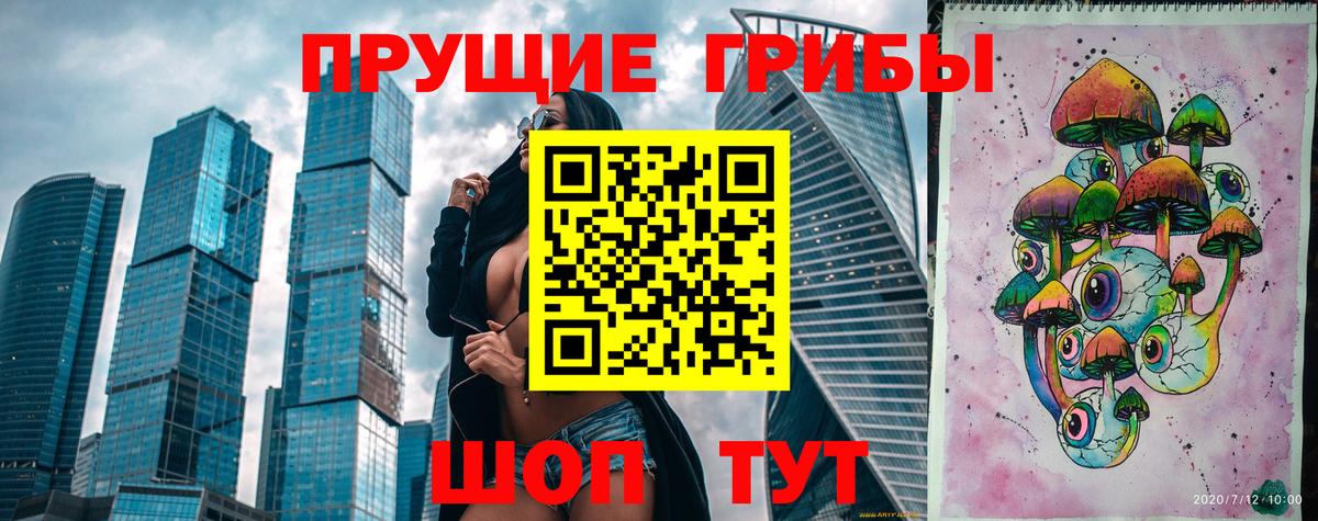 Псилоцибиновые грибы GOLDEN TEACHER Пятигорск